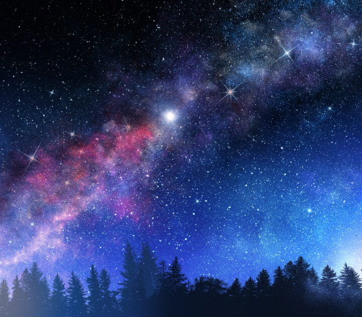 Night forest and starry sky